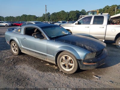 1ZVFT80N365****** 2006 Ford Mustang