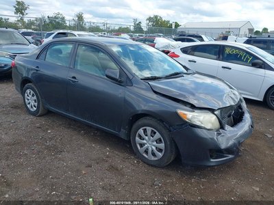 1NXBU4EE1AZ****** 2010 Toyota Corolla