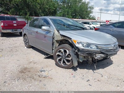 1HGCR2F84GA****** 2016 Honda Accord