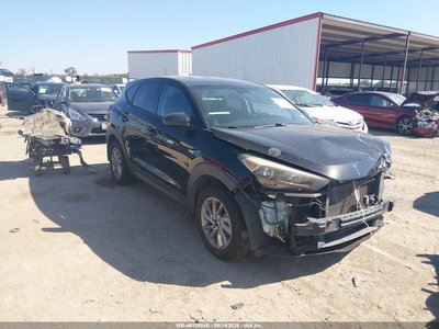KM8J23A43GU****** 2016 Hyundai Tucson