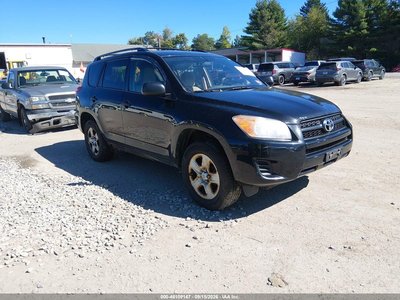 2T3BF4DV2CW****** 2012 Toyota RAV4
