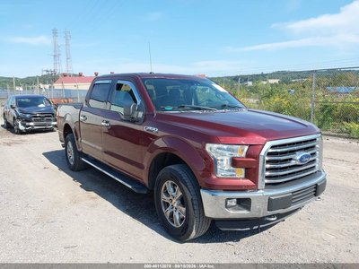 1FTEW1EF4FF****** 2015 Ford F-150