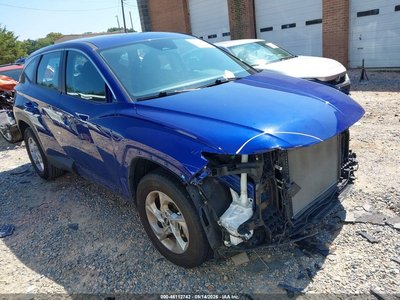 5NMJACDE3RH****** 2024 Hyundai Tucson