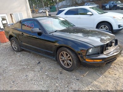 1ZVHT80N855****** 2005 Ford Mustang
