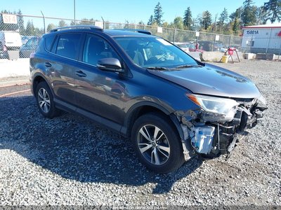 2T3RFREV6GW****** 2016 Toyota RAV4