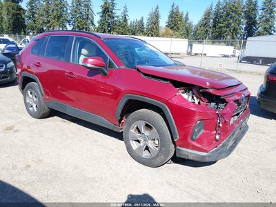 2T3MWRFV4RW****** 2024 Toyota RAV4 Hybrid