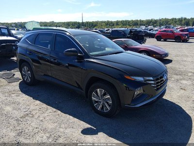 KM8JBCA19PU****** 2023 Hyundai Tucson Hybrid