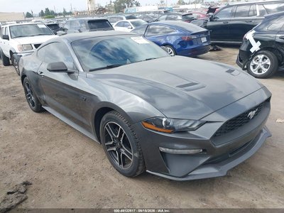 1FA6P8TH8K5****** 2019 Ford Mustang