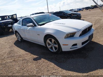 1ZVBP8CF7E5****** 2014 Ford Mustang