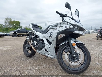 ML5EXGG10RD****** 2024 Kawasaki EX500