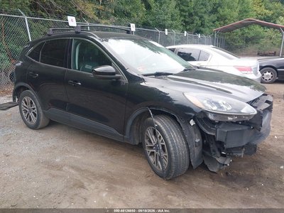 1FMCU9H67MU****** 2021 Ford Escape