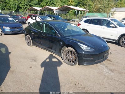5YJ3E1EA4LF****** 2020 Tesla Model 3