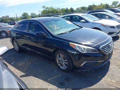5NPE24AF2GH****** 2016 Hyundai Sonata