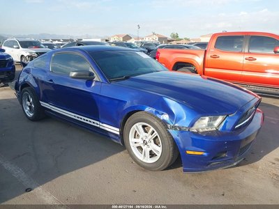 1ZVBP8AM6D5****** 2013 Ford Mustang