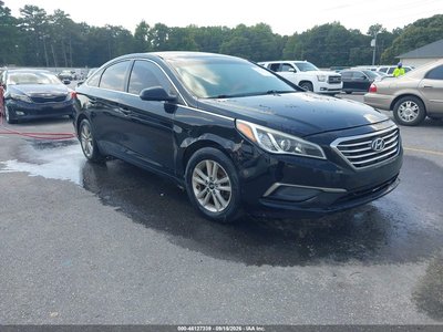 5NPE24AF7GH****** 2016 Hyundai Sonata