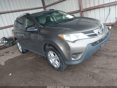 JTMBFREV1ED****** 2014 Toyota RAV4