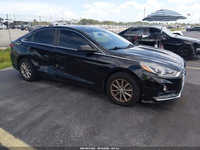 5NPE24AF4KH****** 2019 Hyundai Sonata