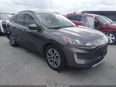 1FMCU0H63MU****** 2021 Ford Escape