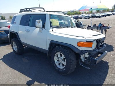 JTEZU4BF1AK****** 2010 Toyota FJ Cruiser
