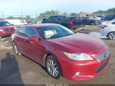 JTHBW1GG4D2****** 2013 Lexus ES 300h