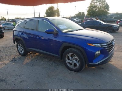 5NMJBCDE2RH****** 2024 Hyundai Tucson