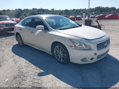 1N4AA51E79C****** 2009 Nissan Maxima