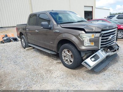 1FTEW1EGXFF****** 2015 Ford F-150