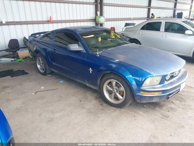 1ZVHT80N065****** 2006 Ford Mustang