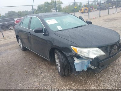 4T4BF1FK1DR****** 2013 Toyota Camry