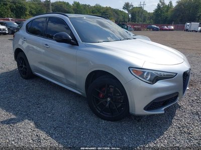 ZASPAKBN1M7****** 2021 Alfa Romeo Stelvio