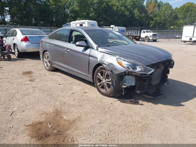 5NPE34AF6KH****** 2019 Hyundai Sonata