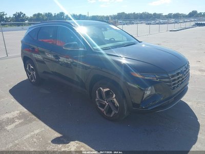KM8JECD19RU****** 2024 Hyundai Tucson Hybrid