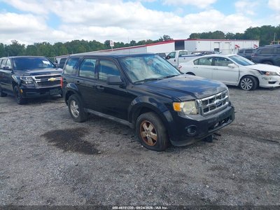 1FMCU0C7XBK****** 2011 Ford Escape