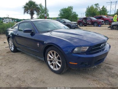 1ZVBP8AM1B5****** 2011 Ford Mustang
