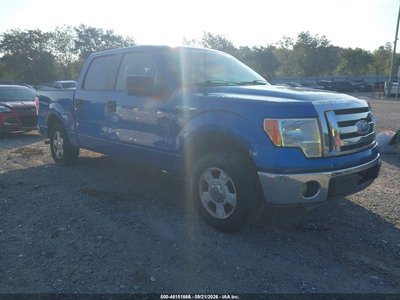 1FTEW1C82AF****** 2010 Ford F-150