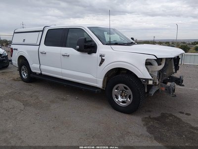 1FTFW3L56RK****** 2024 Ford F-150