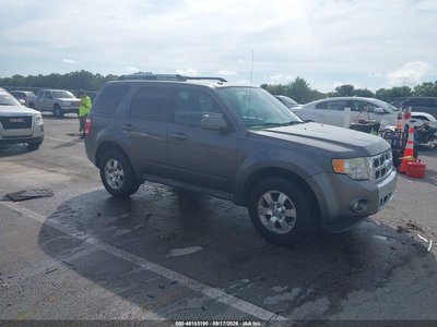 1FMCU0E73BK****** 2011 Ford Escape