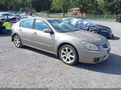 1N4BA41E17C****** 2007 Nissan Maxima