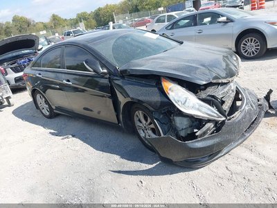 5NPEC4AC6DH****** 2013 Hyundai Sonata