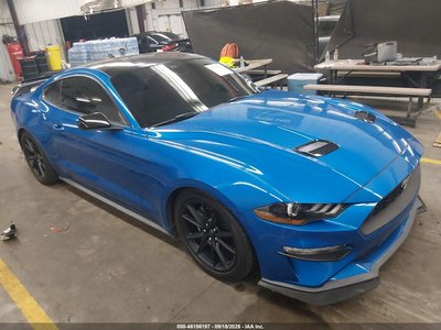 1FA6P8TH0M5****** 2021 Ford Mustang