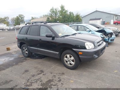 KM8SC13D16U****** 2006 Hyundai Santa Fe