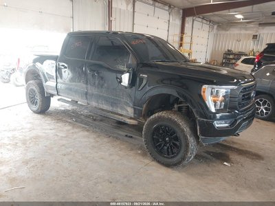 1FTFW1E82PF****** 2023 Ford F-150