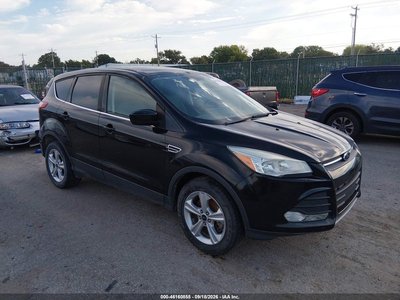 1FMCU0G98DU****** 2013 Ford Escape