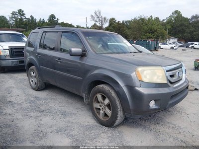 5FNYF3H49AB****** 2010 Honda Pilot