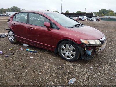 19XFA1F51AE****** 2010 Honda Civic
