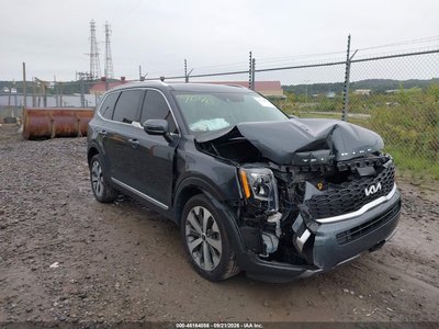 5XYP3DHC0NG****** 2022 Kia Telluride