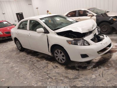 1NXBU4EE6AZ****** 2010 Toyota Corolla