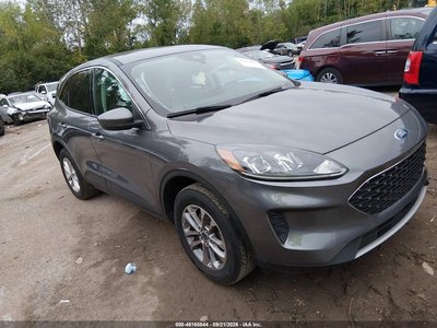 1FMCU9G62MU****** 2021 Ford Escape