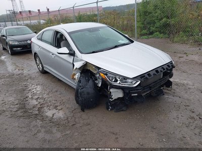 5NPE24AF9KH****** 2019 Hyundai Sonata