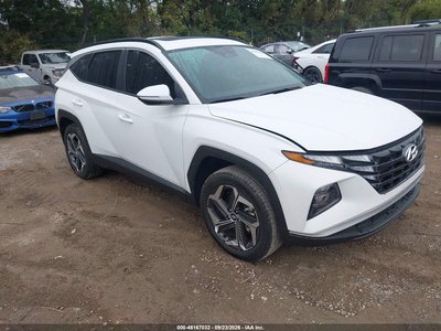 5NMJFCDE5RH****** 2024 Hyundai Tucson